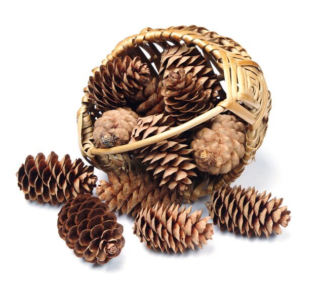 Cones in a wicker basket on a white