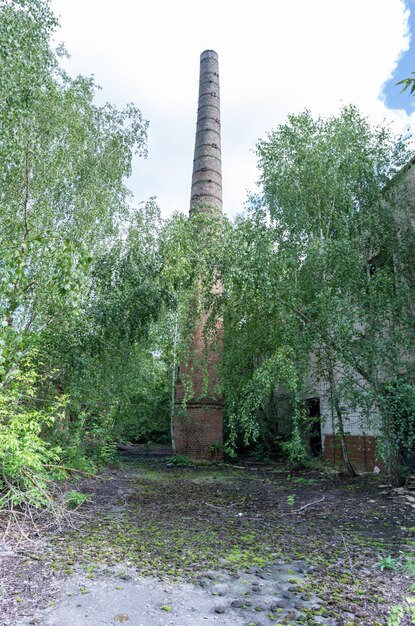 Coneshaped tower in the forest chimney big and high chimney vertical frame