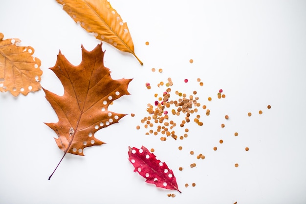 confetti gemaakt van vergeelde herfstvos ecologische vakantie