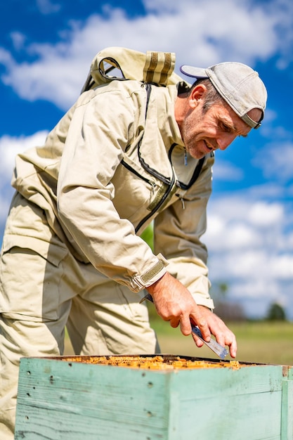 Apicoltore fiducioso che lavora con gli alveari apicoltura agricola di campagna