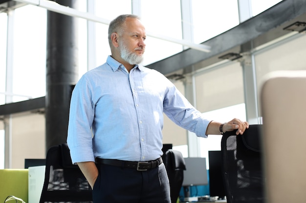 Confident pensive mature business man in modern office.