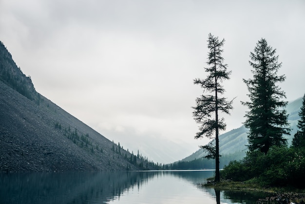 Conifer trees on shore of mountain lake in rainy weather