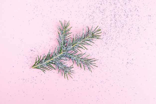 coniferous branch in silver sparkles on a pink background.