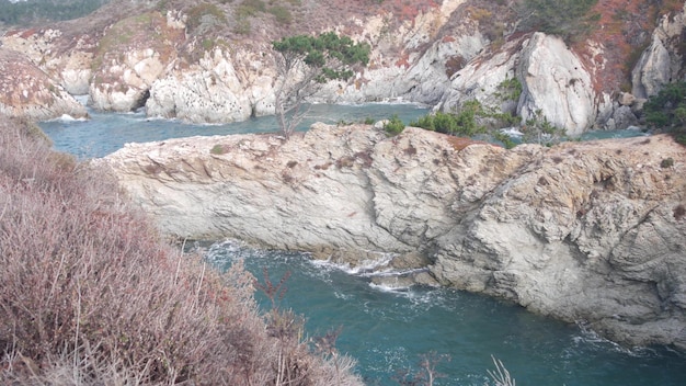 針葉樹の松ヒノキの木の岩山または崖の海のビーチカリフォルニアの海岸