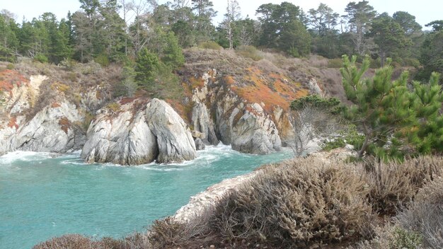 針葉樹の松ヒノキの木の岩山または崖の海のビーチカリフォルニアの海岸