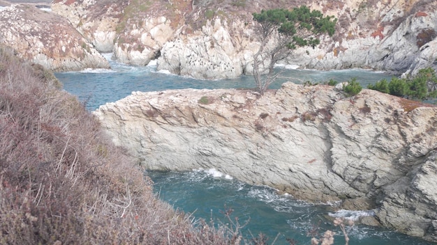 針葉樹の松ヒノキの木の岩山または崖の海のビーチカリフォルニアの海岸