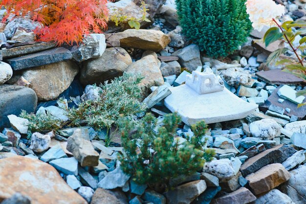 Coniferous rockery in landscaping different types of pine and\
spruce with different color needles