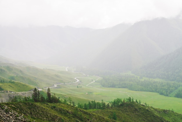 Coniferous trees of serpentine road in mountainous terrain