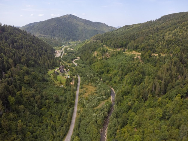 Coniferous trees on the slope of the mountain. Aerial drone view.