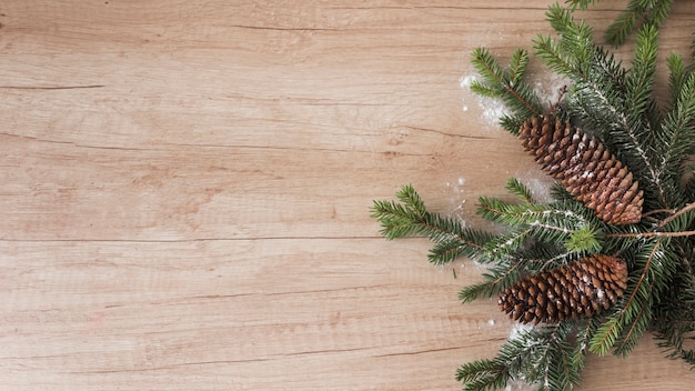 Photo coniferous twigs, snags and ornament snow