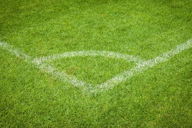 Conner di campo di calcio con erba verde