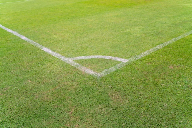 Conner del campo di calcio con erba verde