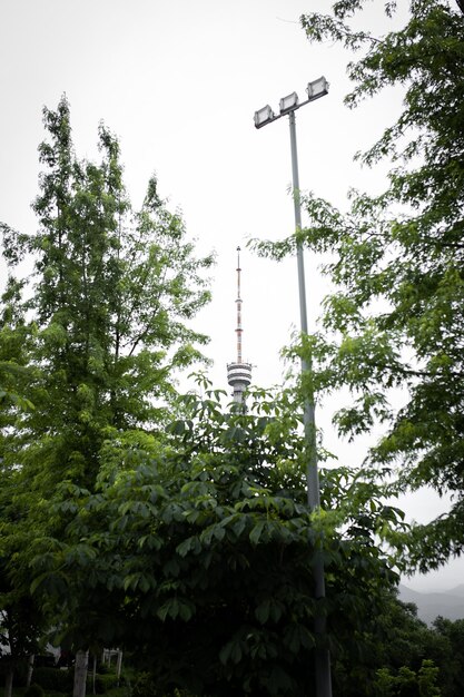 Construction of a tv tower among trees and sky