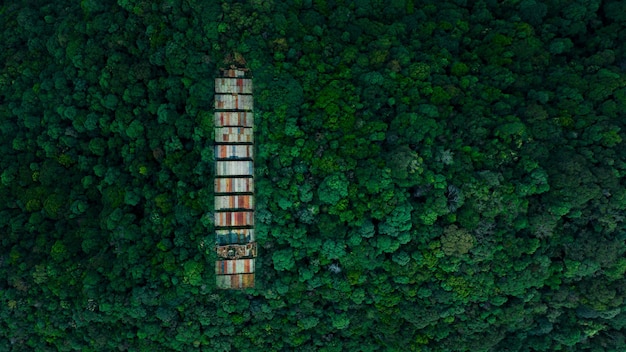 Foto containerschip in het midden van het bos