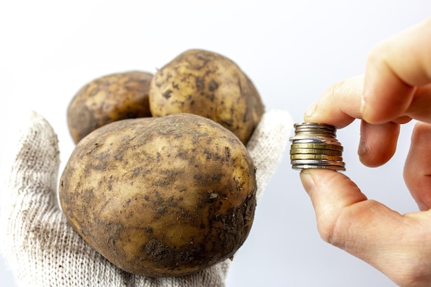 Contant geld en verse vuile aardappelen in de grond Het concept van voedselprijzen Het kopen van verkopen van aardappelen Landbouwbedrijf voor het verbouwen van groenten