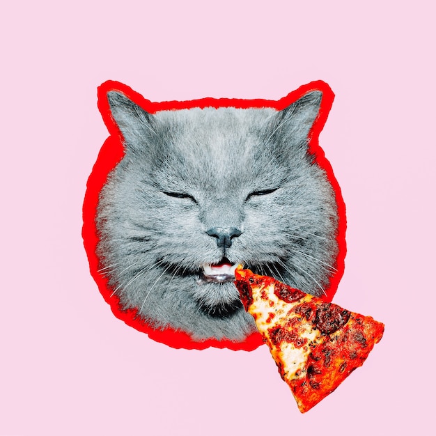 Collage di arte contemporanea. concetto di amante della pizza minimo. pizza e gatto divertente.