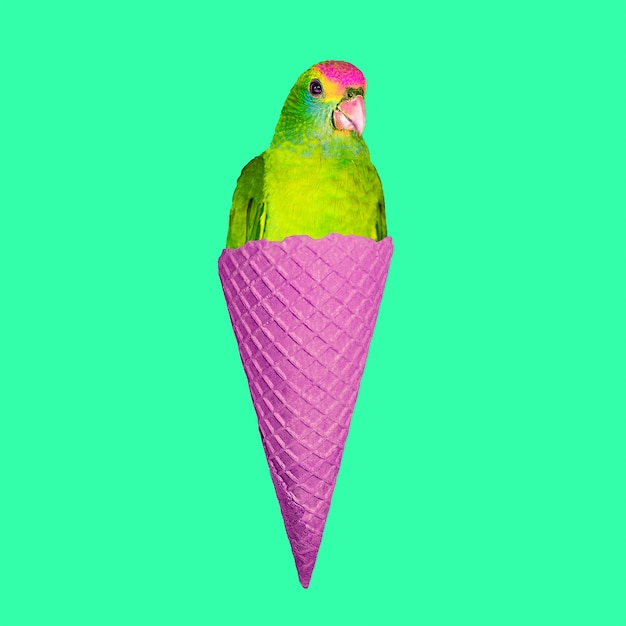 現代アートのコラージュ。オウムのアイスクリーム。面白いファーストフードの最小限のプロジェクト