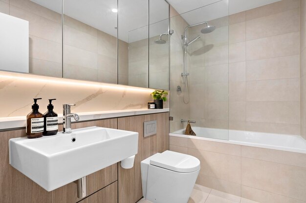 Contemporary bathroom featuring a shower sink and toilet