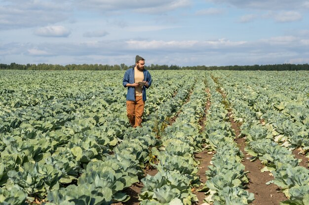 Contemporary farmer with tablet moving along cabbage field