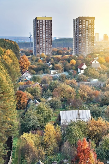 Contemporary highrise city dwelling buildings annex territory of neat summer cottages