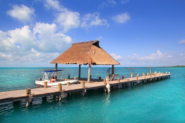 Contoy island Mexico wood pier nature reserve