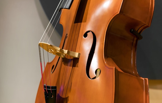 Contrabass with strings during rehearsal