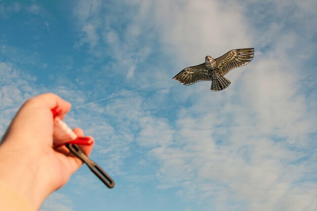 Foto controllo di un aquilone sotto forma di un uccello