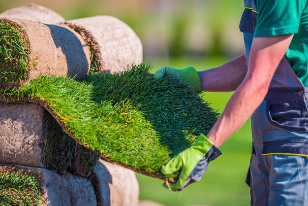 Controle van het natuurlijke gras