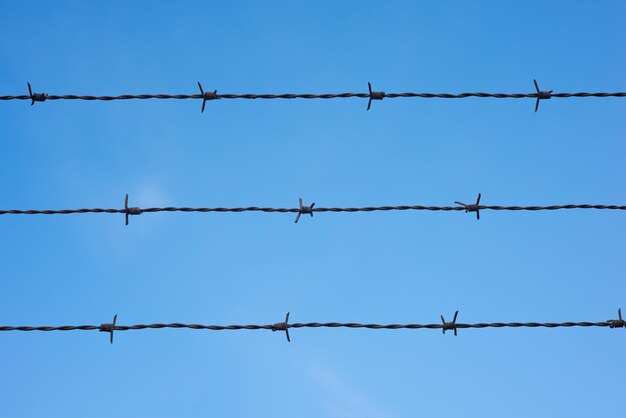 Contseptual shot of barbed wire over blue sky