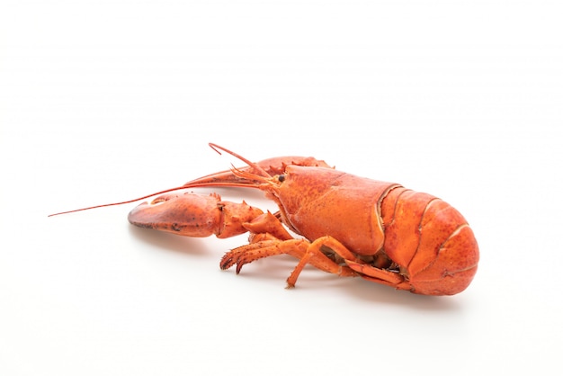 cooked lobster isolated