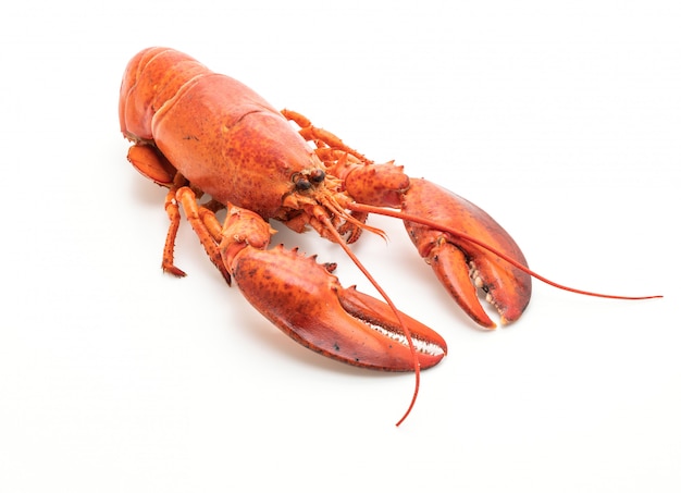 cooked lobster isolated