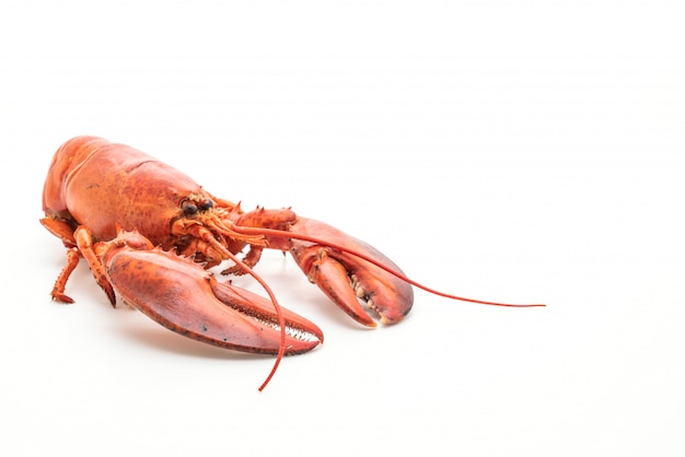 cooked lobster isolated