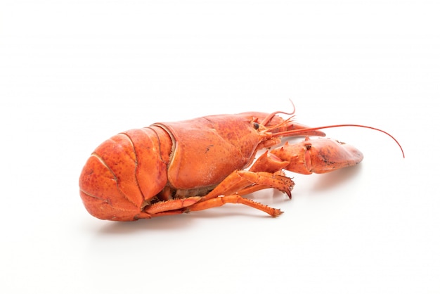 cooked lobster isolated