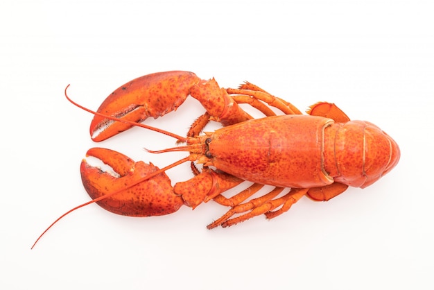 cooked lobster isolated