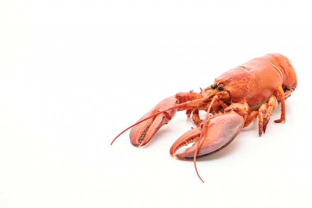 cooked lobster isolated