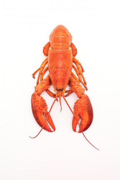 cooked lobster isolated