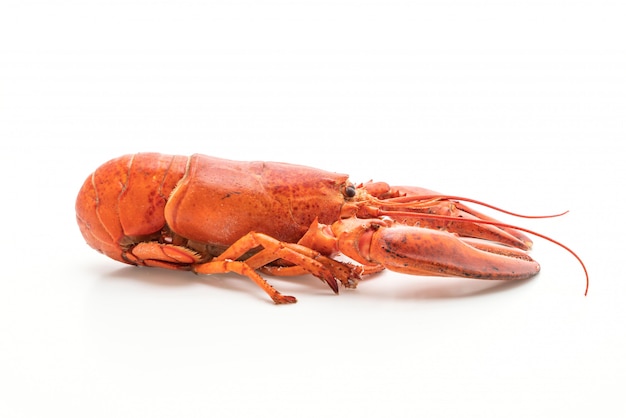 cooked lobster isolated