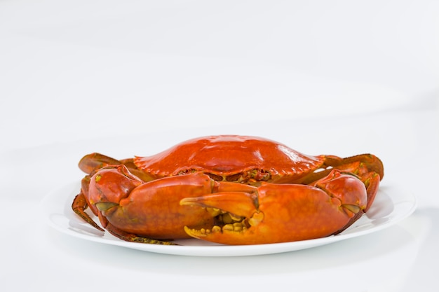 Cooked mud crab, arranged on a white round ceramic plate with white  textured background,isolated.