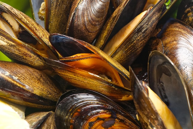 Cooked mussels with lemon and parsley on table served mussels ready to eat