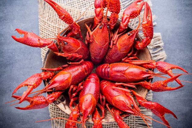 Cooked river crayfish on the grey background.