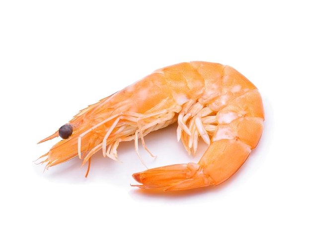 Cooked shrimps isolated on white background.