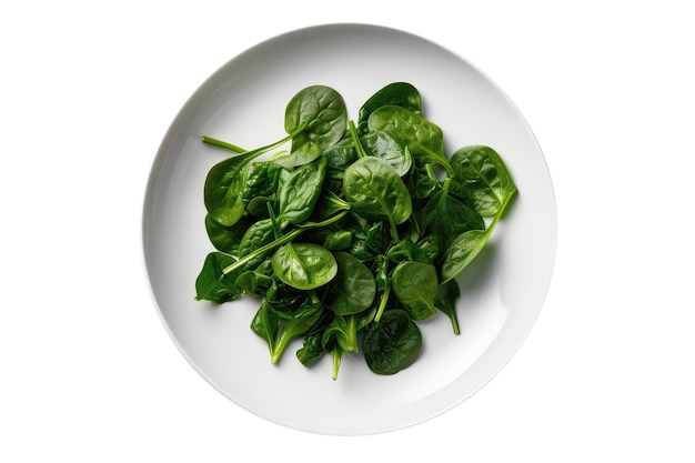 Cooked Spinach On White Plate On White Background