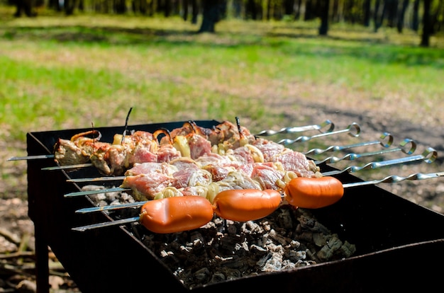 Cooking barbecue in nature.
