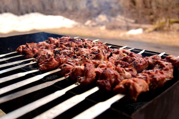 自然の中で串焼きでバーベキューを調理するバーベキューシーズンが始まります