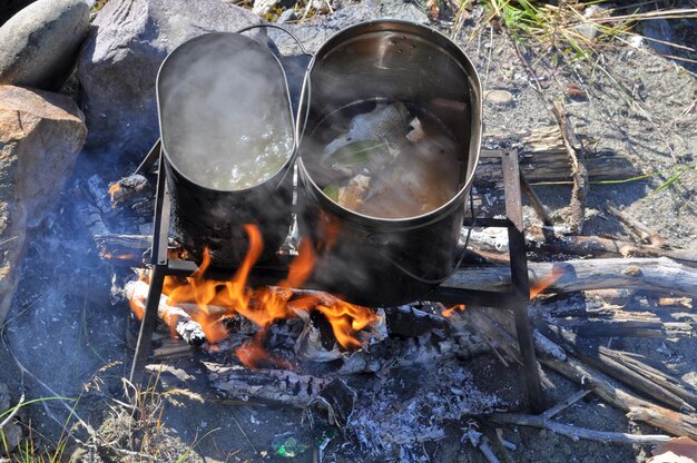 Cooking fish on the fire