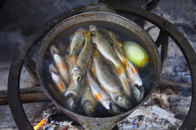 キャンプで火で魚のスープを調理する