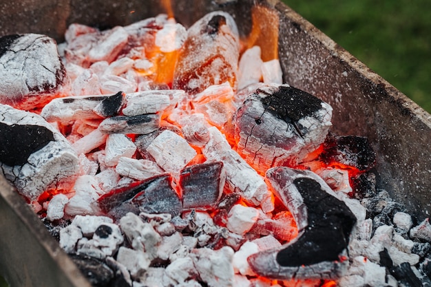 Foto cucinare la carne di kebab con spiedini sulla griglia.