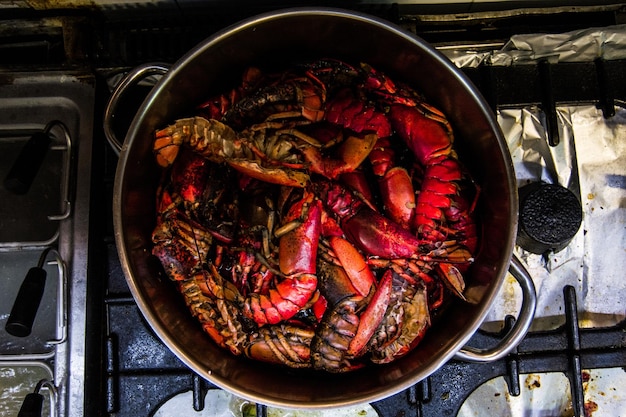 Photo cooking lobster on a pan