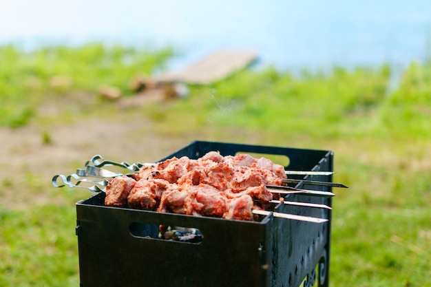 Cooking meat on the grill Food on the hike Outdoor recreation