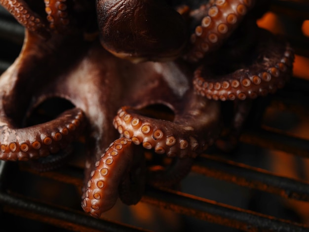 Photo cooking octopus on grill seafood